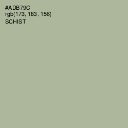 #ADB79C - Schist Color Image