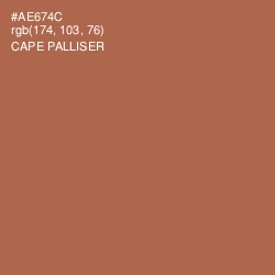 #AE674C - Cape Palliser Color Image