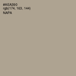 #AEA390 - Napa Color Image