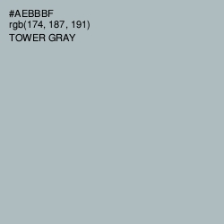 #AEBBBF - Tower Gray Color Image
