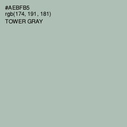 #AEBFB5 - Tower Gray Color Image