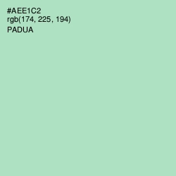 #AEE1C2 - Padua Color Image