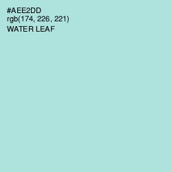 #AEE2DD - Water Leaf Color Image