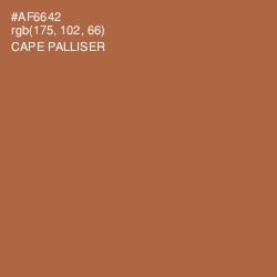 #AF6642 - Cape Palliser Color Image