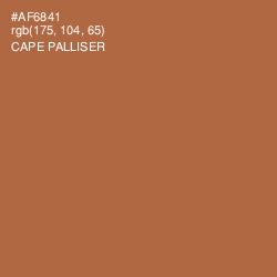 #AF6841 - Cape Palliser Color Image