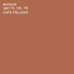 #AF694E - Cape Palliser Color Image
