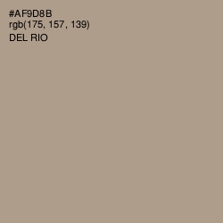 #AF9D8B - Del Rio Color Image