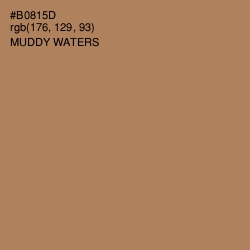 #B0815D - Muddy Waters Color Image