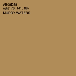 #B08D58 - Muddy Waters Color Image