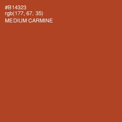 #B14323 - Medium Carmine Color Image