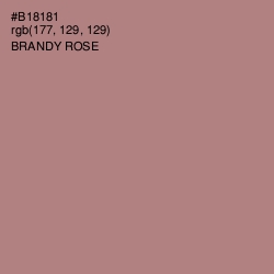 #B18181 - Brandy Rose Color Image