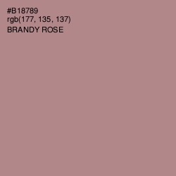 #B18789 - Brandy Rose Color Image
