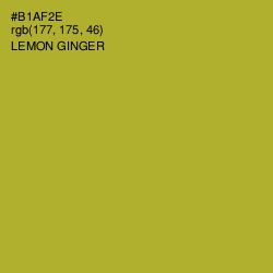#B1AF2E - Lemon Ginger Color Image