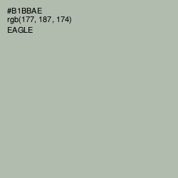 #B1BBAE - Eagle Color Image