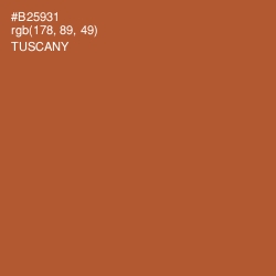 #B25931 - Tuscany Color Image