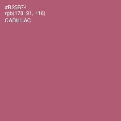 #B25B74 - Cadillac Color Image