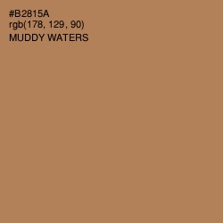 #B2815A - Muddy Waters Color Image
