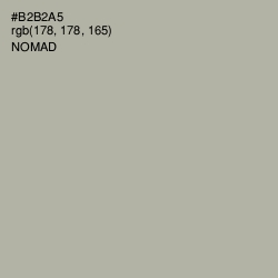 #B2B2A5 - Nomad Color Image