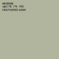 #B2B39B - Heathered Gray Color Image