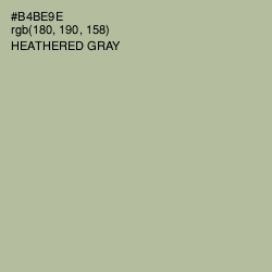 #B4BE9E - Heathered Gray Color Image