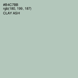 #B4C7BB - Clay Ash Color Image