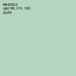 #B4D5C0 - Surf Color Image