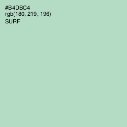 #B4DBC4 - Surf Color Image