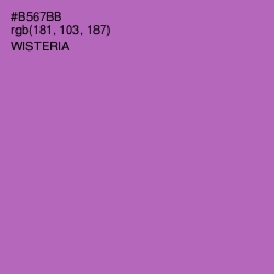 #B567BB - Wisteria Color Image