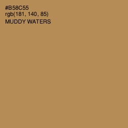 #B58C55 - Muddy Waters Color Image