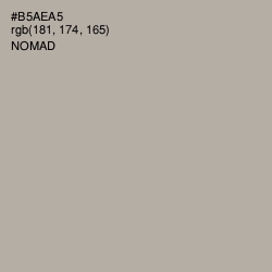 #B5AEA5 - Nomad Color Image