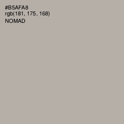 #B5AFA8 - Nomad Color Image