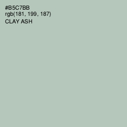 #B5C7BB - Clay Ash Color Image