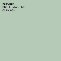 #B5CBB7 - Clay Ash Color Image