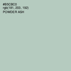 #B5CBC0 - Powder Ash Color Image