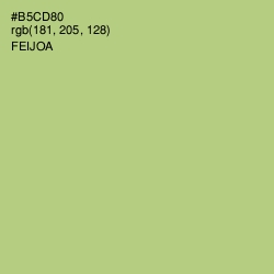 #B5CD80 - Feijoa Color Image