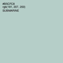 #B5CFC8 - Submarine Color Image