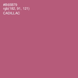 #B65B79 - Cadillac Color Image