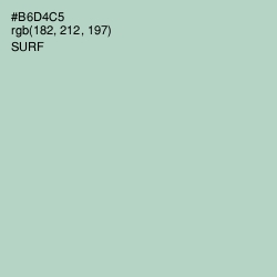 #B6D4C5 - Surf Color Image