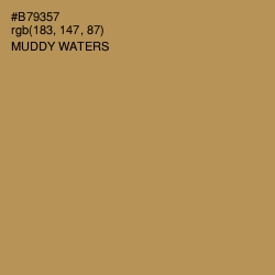 #B79357 - Muddy Waters Color Image
