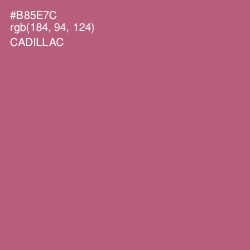#B85E7C - Cadillac Color Image