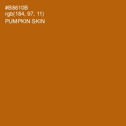 #B8610B - Pumpkin Skin Color Image