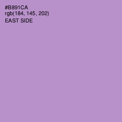 #B891CA - East Side Color Image