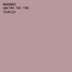 #B8989C - Thatch Color Image