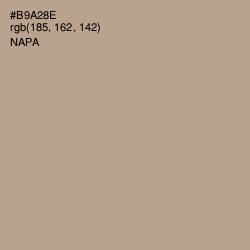 #B9A28E - Napa Color Image