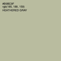 #B9BC9F - Heathered Gray Color Image