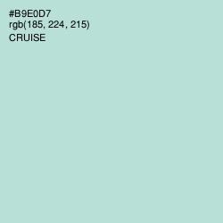 #B9E0D7 - Cruise Color Image