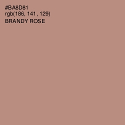 #BA8D81 - Brandy Rose Color Image