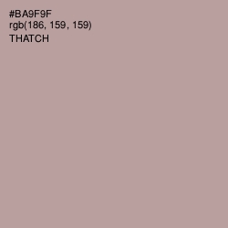 #BA9F9F - Thatch Color Image