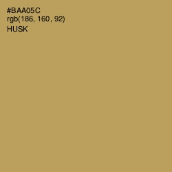 #BAA05C - Husk Color Image