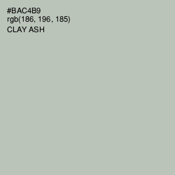 #BAC4B9 - Clay Ash Color Image